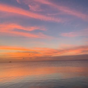 Meet your Posher, Rickoy